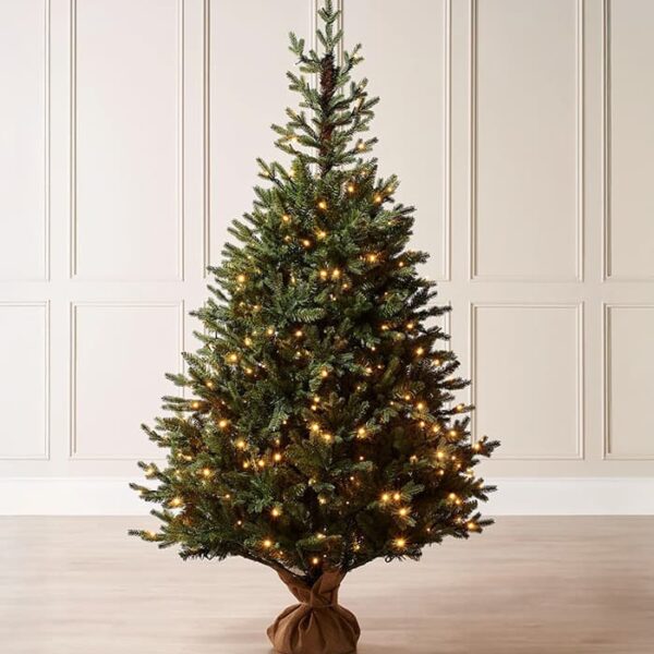 Norway Christmas Tree